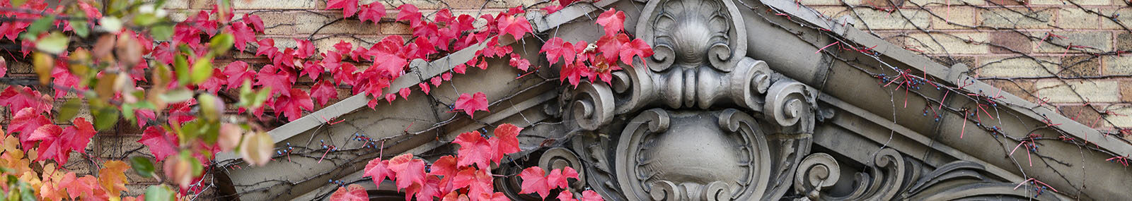 Climbing ivy with foliage in hues of green and red frames a scroll and other ornate architecture details on the north exterior of Agricultural Hall.
